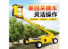 點擊查看詳細信息<br>標題：果園采摘車 閱讀次數：263